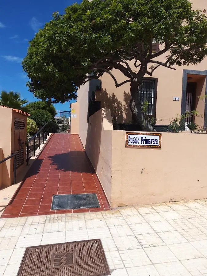 Tenerife Da Sogno Spain